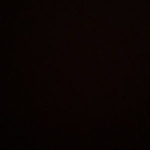 Meet your Posher, Evelin